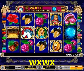 A Emoção da Loteria na wxwx: Uma Chance de Mudança de Vida